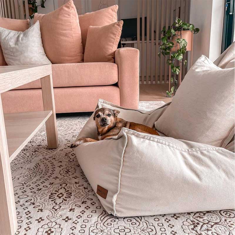 Customer pic of the Cotton Boss Bean Bag Chair indoor bean bag by Mooi Living in Natural with a dog lying on it, looking so relaxed