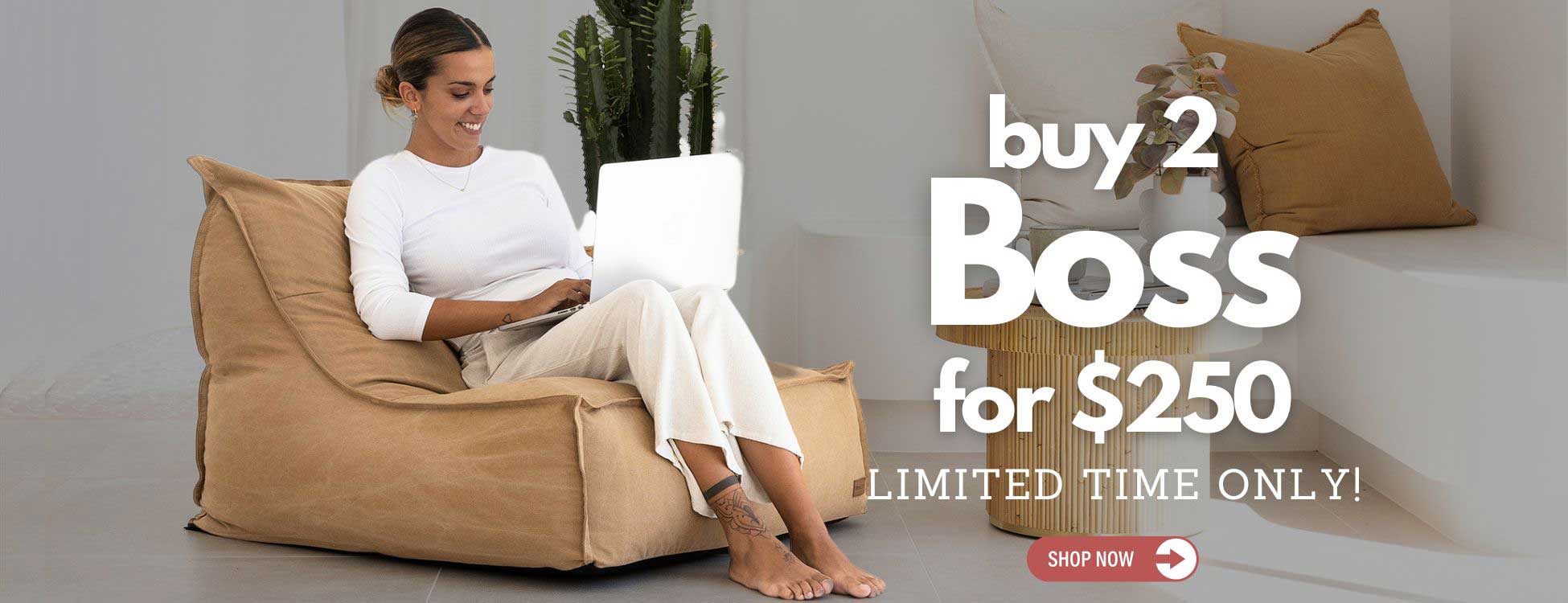 BUY 2  Boss Bean Bags for $250