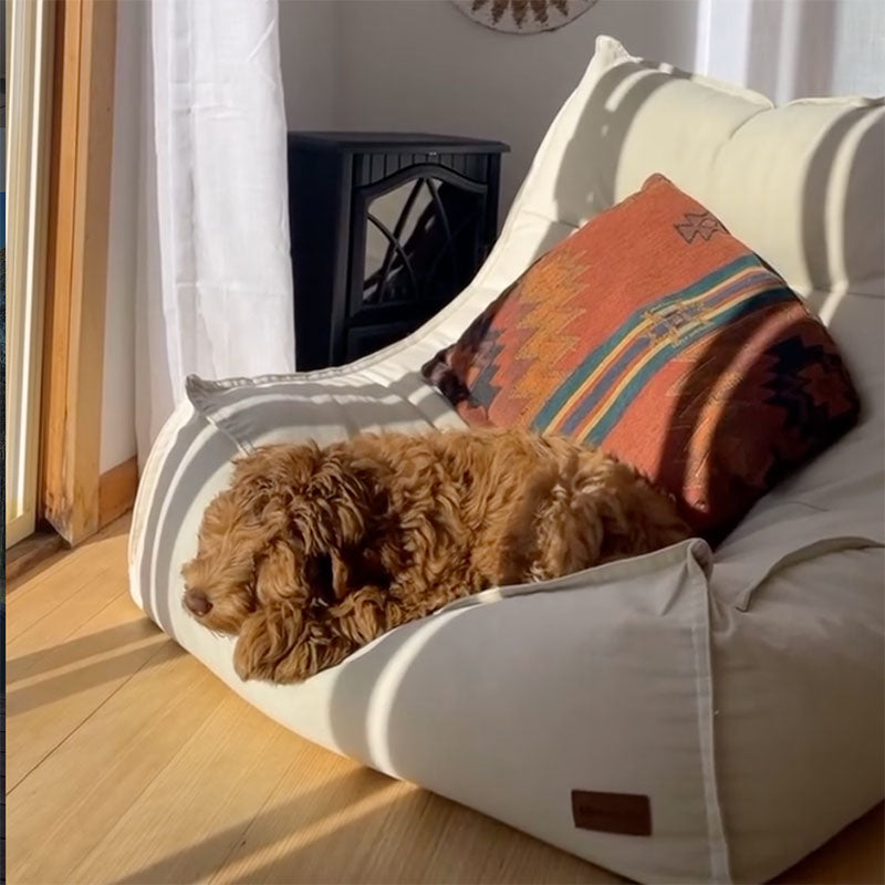 Brown dog lying on a Natural Single Cotton Boss Bean Bag indoor Bean Bag by Mooi Living. in a customer photo by @tuckerthecobber.